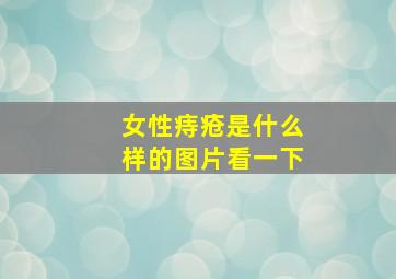 女性痔疮是什么样的图片看一下