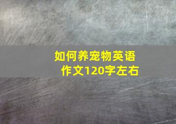 如何养宠物英语作文120字左右