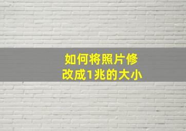 如何将照片修改成1兆的大小