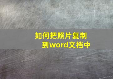 如何把照片复制到word文档中