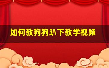 如何教狗狗趴下教学视频