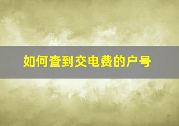 如何查到交电费的户号