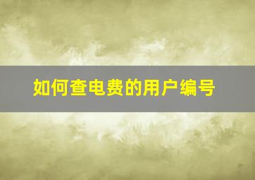 如何查电费的用户编号