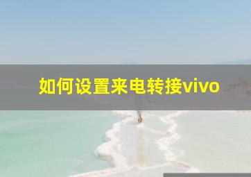 如何设置来电转接vivo