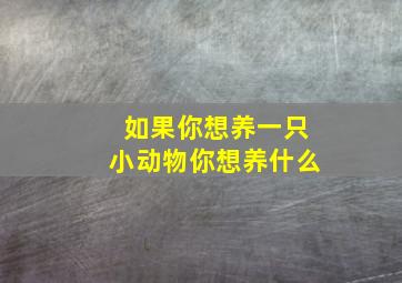 如果你想养一只小动物你想养什么