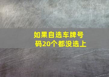 如果自选车牌号码20个都没选上