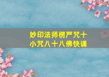 妙印法师楞严咒十小咒八十八佛快诵