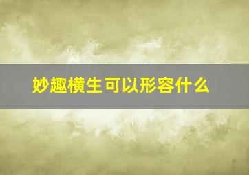 妙趣横生可以形容什么