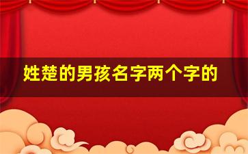 姓楚的男孩名字两个字的