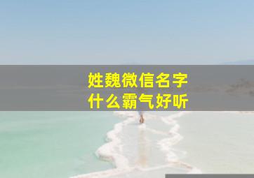 姓魏微信名字什么霸气好听