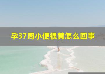 孕37周小便很黄怎么回事