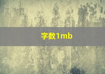 字数1mb