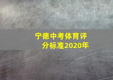 宁德中考体育评分标准2020年