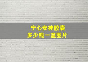 宁心安神胶囊多少钱一盒图片