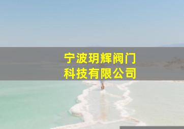 宁波玥辉阀门科技有限公司