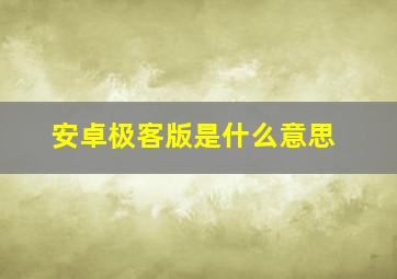 安卓极客版是什么意思