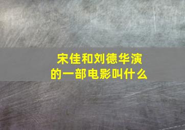 宋佳和刘德华演的一部电影叫什么