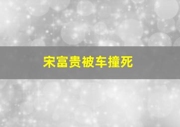 宋富贵被车撞死