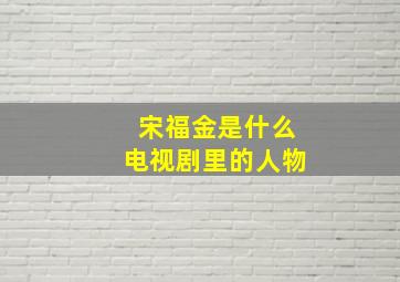 宋福金是什么电视剧里的人物