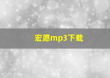 宏愿mp3下载