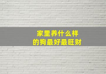 家里养什么样的狗最好最旺财