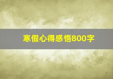 寒假心得感悟800字