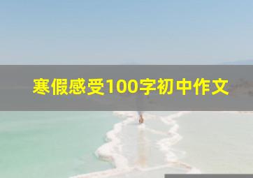 寒假感受100字初中作文