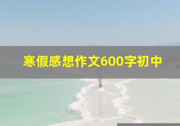 寒假感想作文600字初中