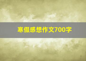 寒假感想作文700字