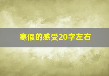 寒假的感受20字左右