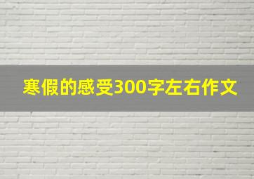 寒假的感受300字左右作文