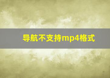 导航不支持mp4格式