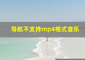 导航不支持mp4格式音乐