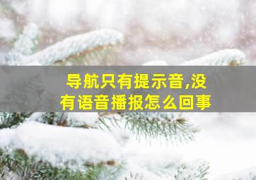 导航只有提示音,没有语音播报怎么回事