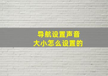 导航设置声音大小怎么设置的