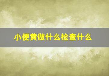 小便黄做什么检查什么