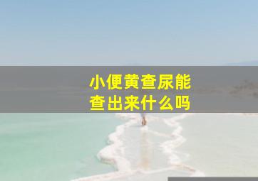 小便黄查尿能查出来什么吗