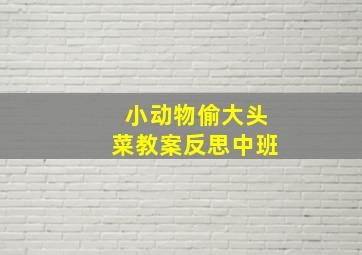 小动物偷大头菜教案反思中班