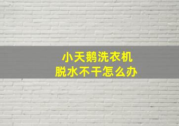 小天鹅洗衣机脱水不干怎么办