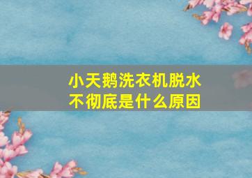 小天鹅洗衣机脱水不彻底是什么原因