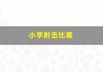 小学射击比赛