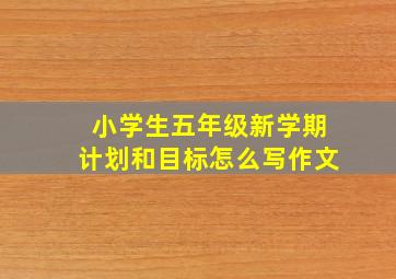 小学生五年级新学期计划和目标怎么写作文