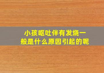 小孩呕吐伴有发烧一般是什么原因引起的呢