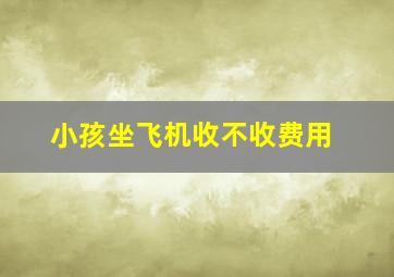 小孩坐飞机收不收费用