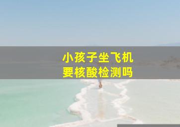 小孩子坐飞机要核酸检测吗