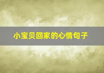 小宝贝回家的心情句子