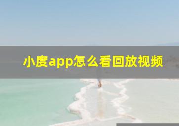 小度app怎么看回放视频