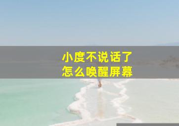 小度不说话了怎么唤醒屏幕