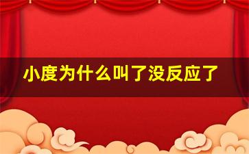 小度为什么叫了没反应了