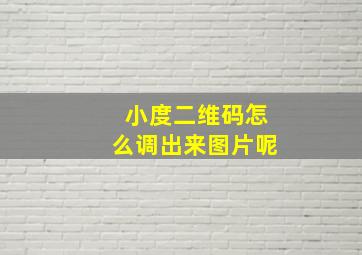 小度二维码怎么调出来图片呢